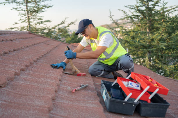 Best Roof Coating and Sealing  in Lambert, MS